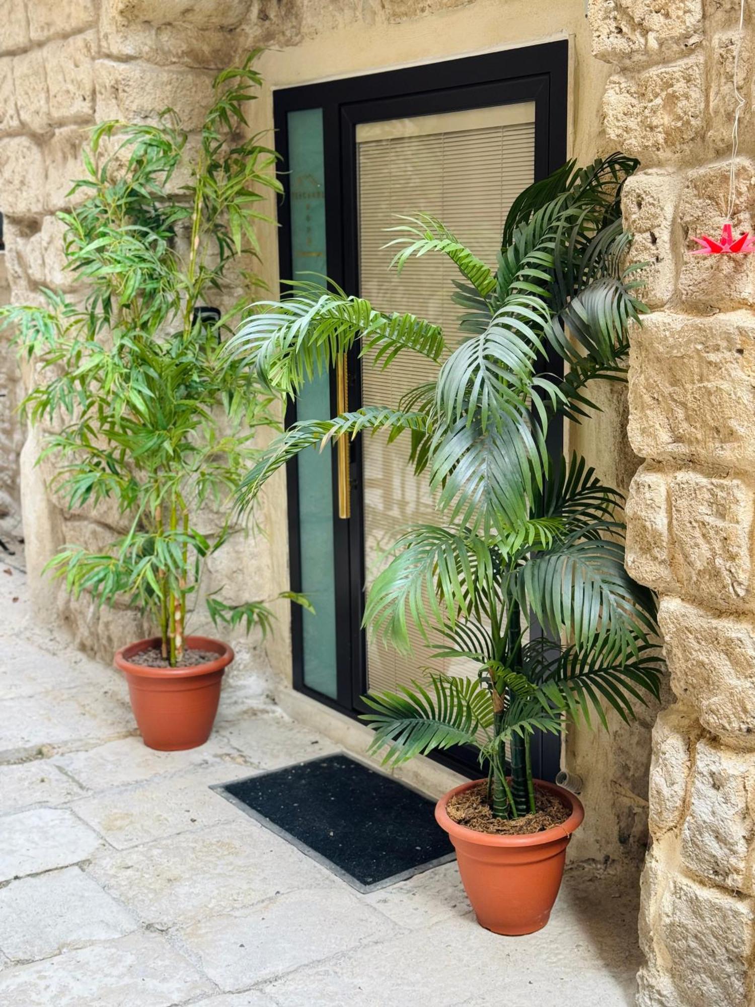 בארי Fiscardi Room מראה חיצוני תמונה